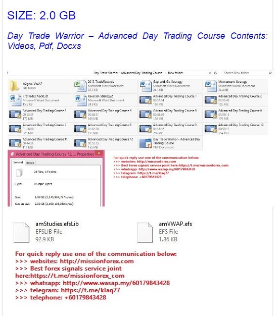 day trade warrior, advanced day trading course, pro trading strategies, stock trading education, scalping techniques, momentum trading, risk management trading, high-probability trades